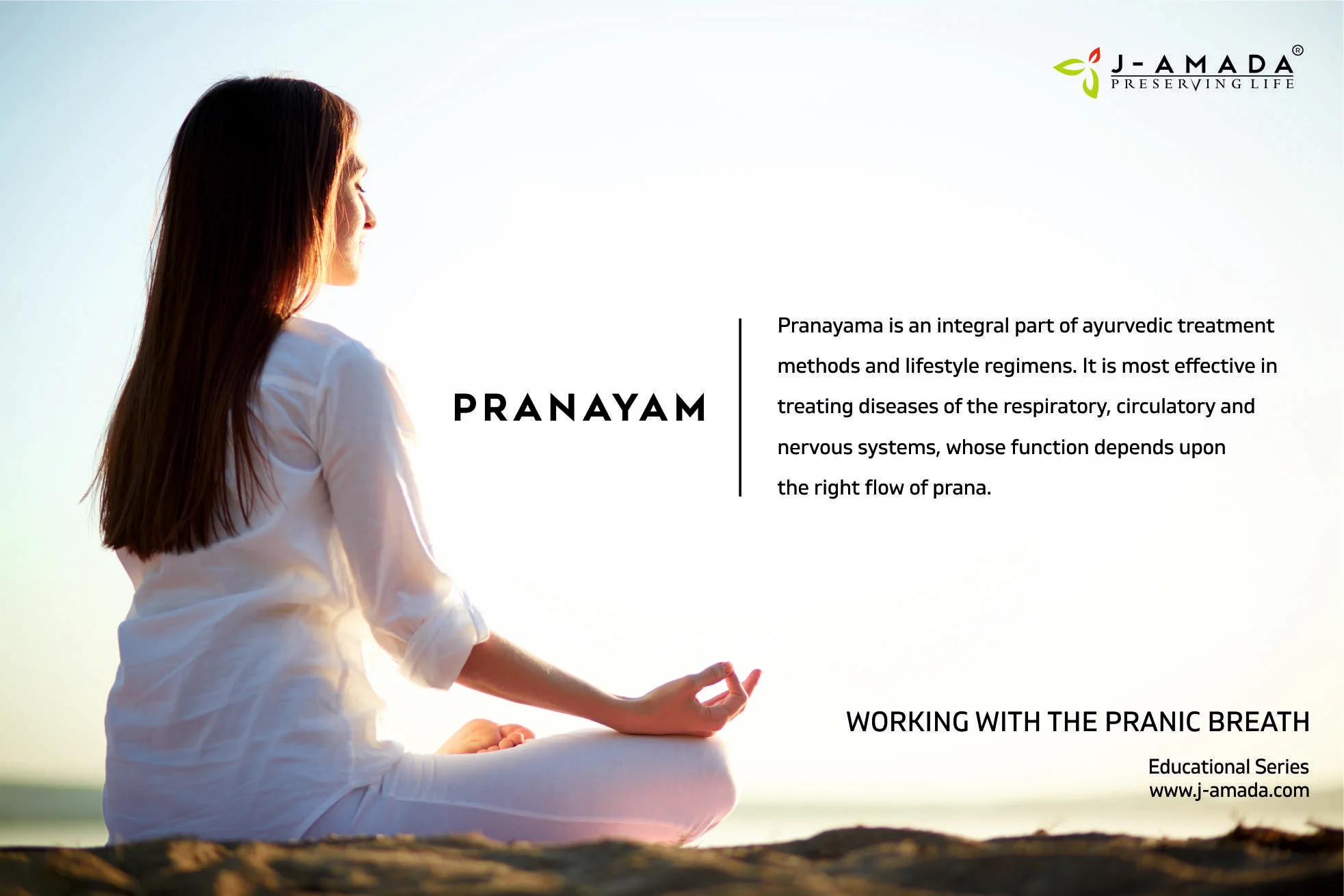 PRANAYAM :: WORKING WITH THE PRANIC BREATH