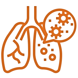 Prana Vaha Srotas (Respiratory Channels)