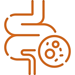 Anna Vaha Srotas (Digestive Channels)