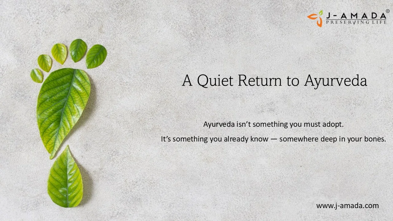 A Quiet Return to Ayurveda – A gentle reflection from the world of J-AMADA Remedies